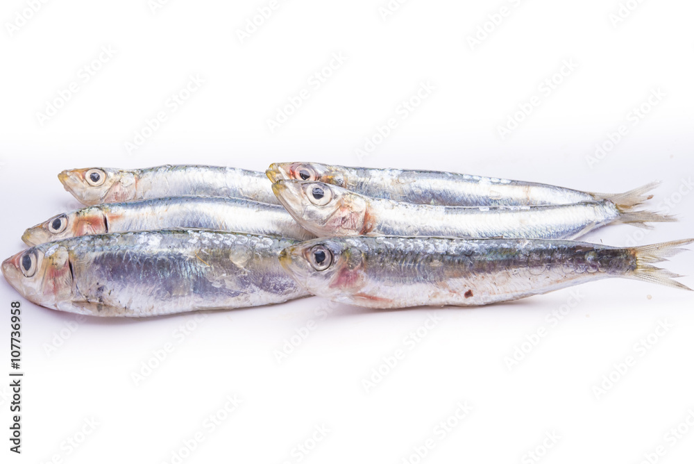 Fresh raw sardines isolated on white background
