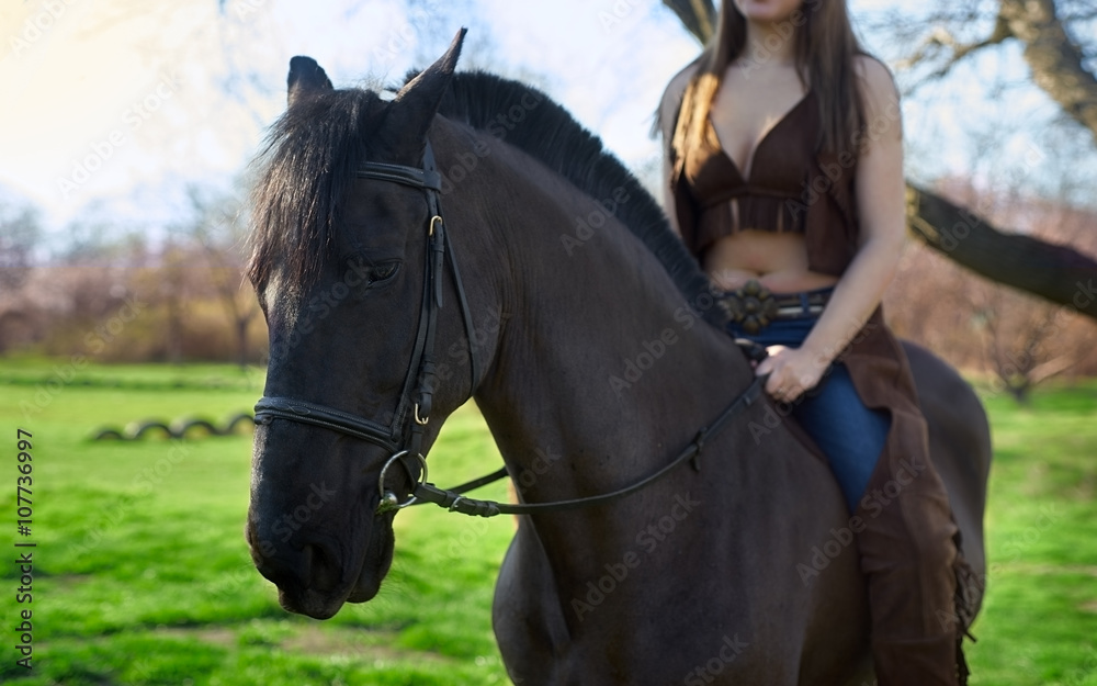 Fototapeta premium The horse is saddled woman