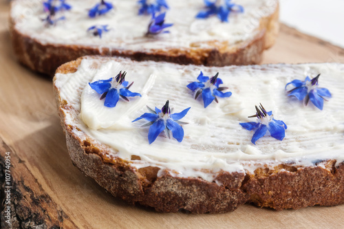 Bread, cheese and borage flowers photo