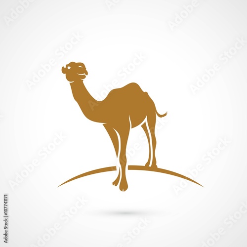African camel symbol