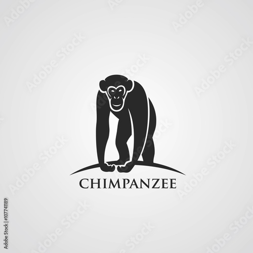 Chimpanzee