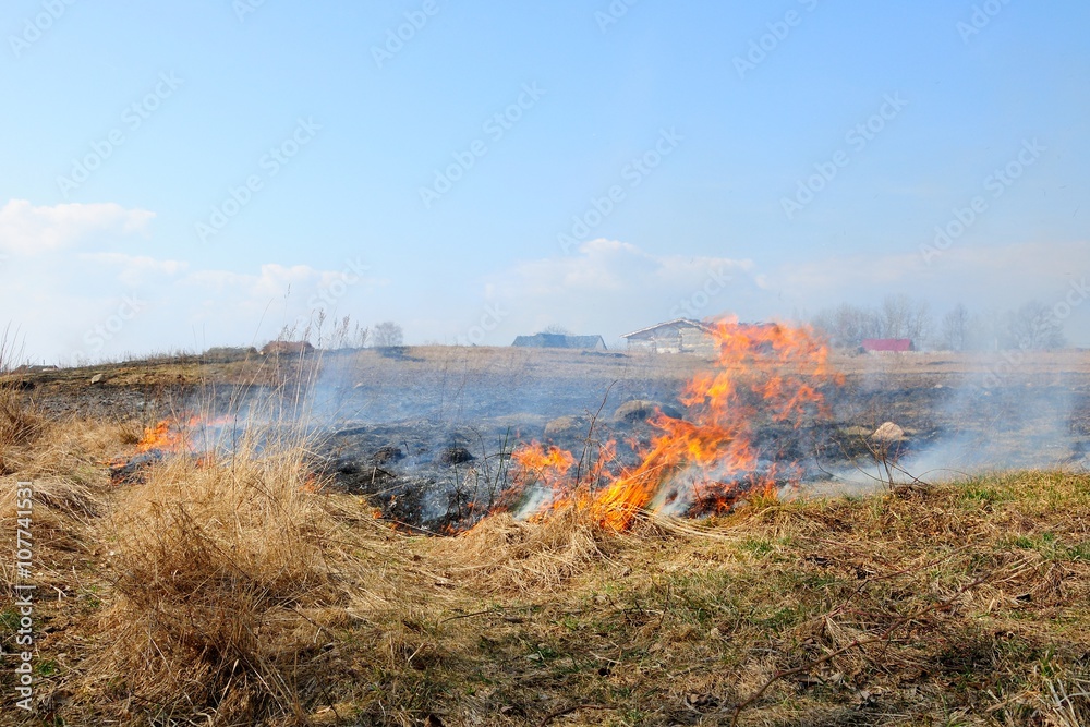dry grass burns in the field