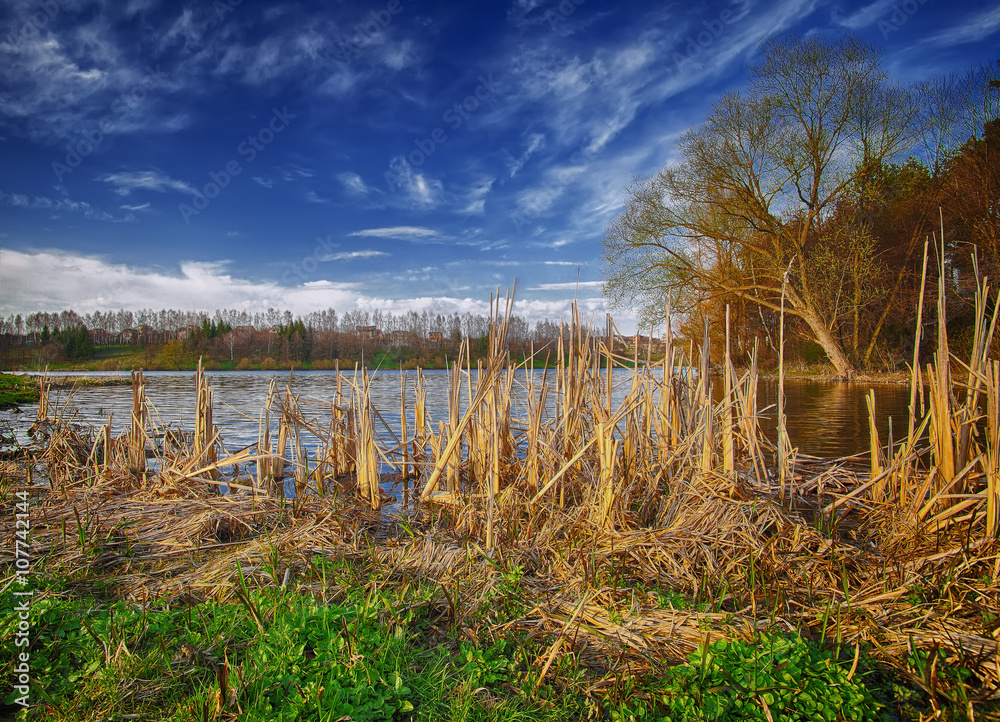 Fototapeta premium Sunny day on a calm river in summer