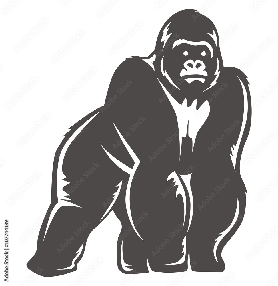 gorilla stand gray