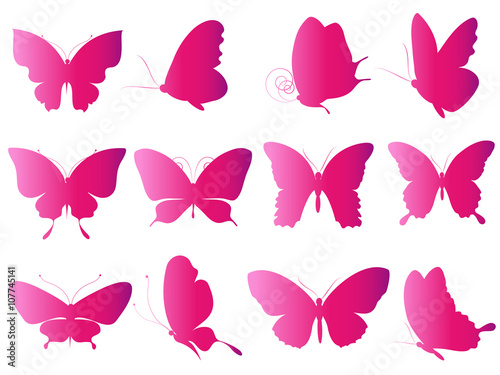 butterflies design