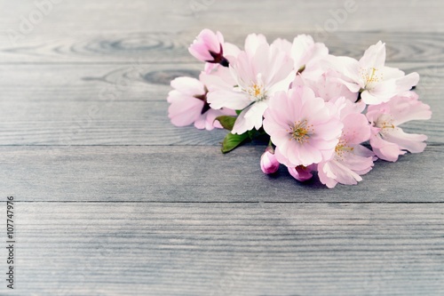Fototapeta Naklejka Na Ścianę i Meble -  Cherry blossoms on wooden background.   