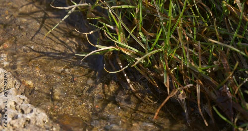 mountain sun light river water moving 4k
mountain sun light river water moving 4k