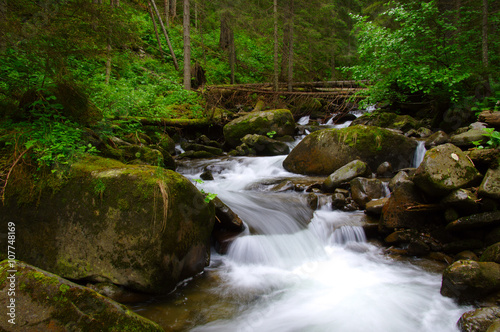 Mountain river in the green forest