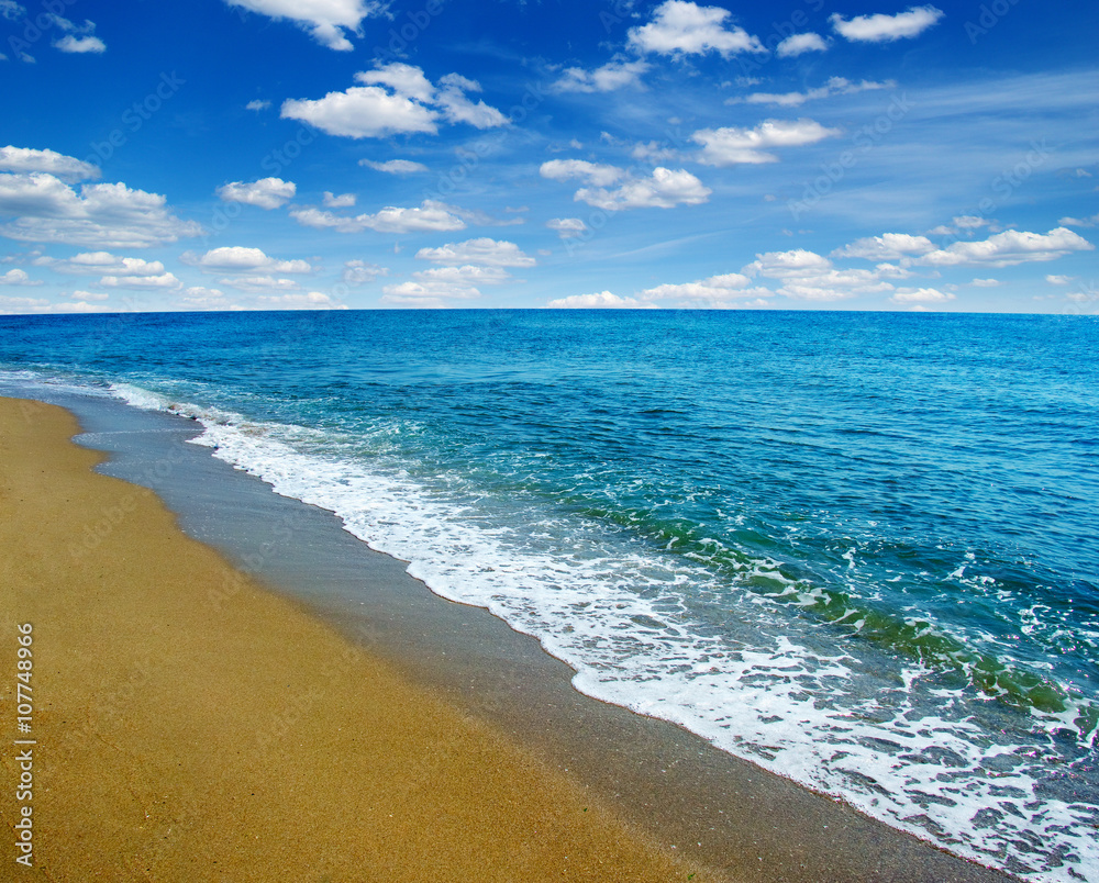 Fototapeta premium beach and sea