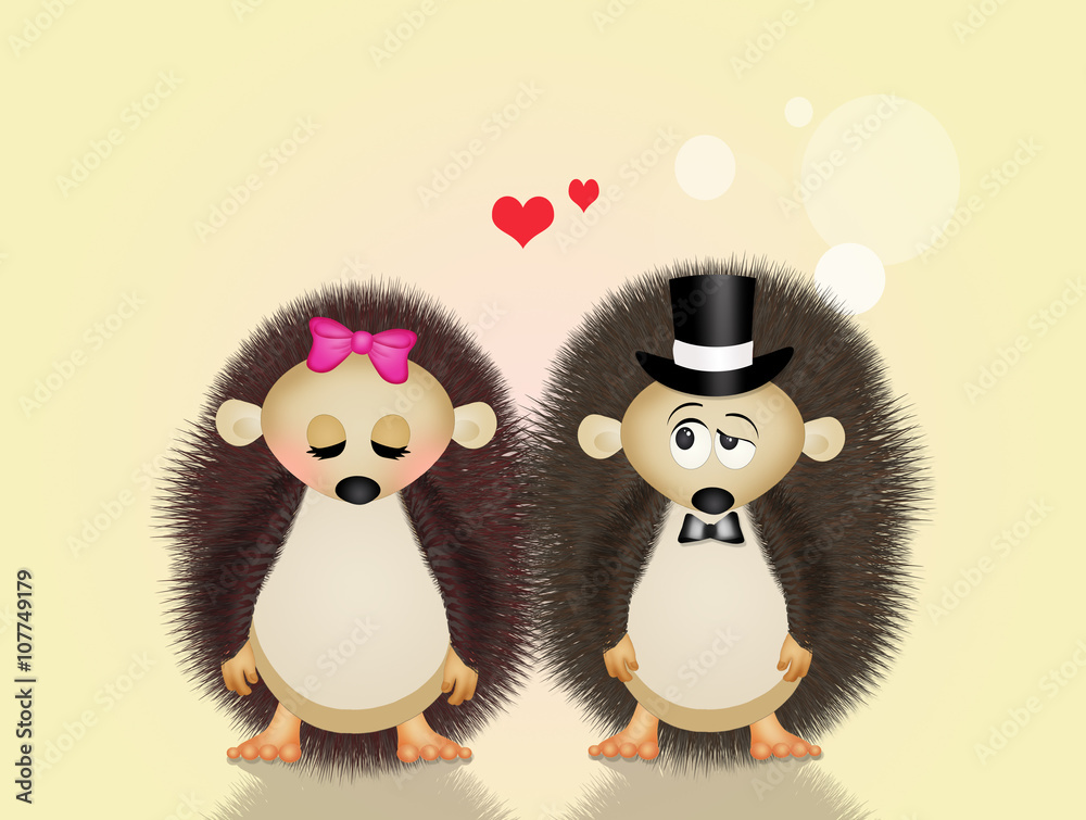 illustration of Wedding hedgehogs
