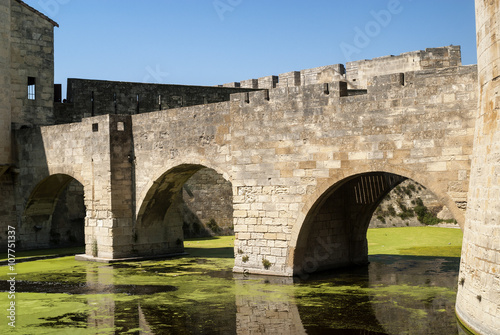 Aigues-Mortes (France): bridge