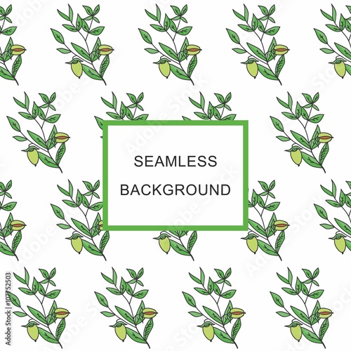 Seamless background Jojoba branch with fruits