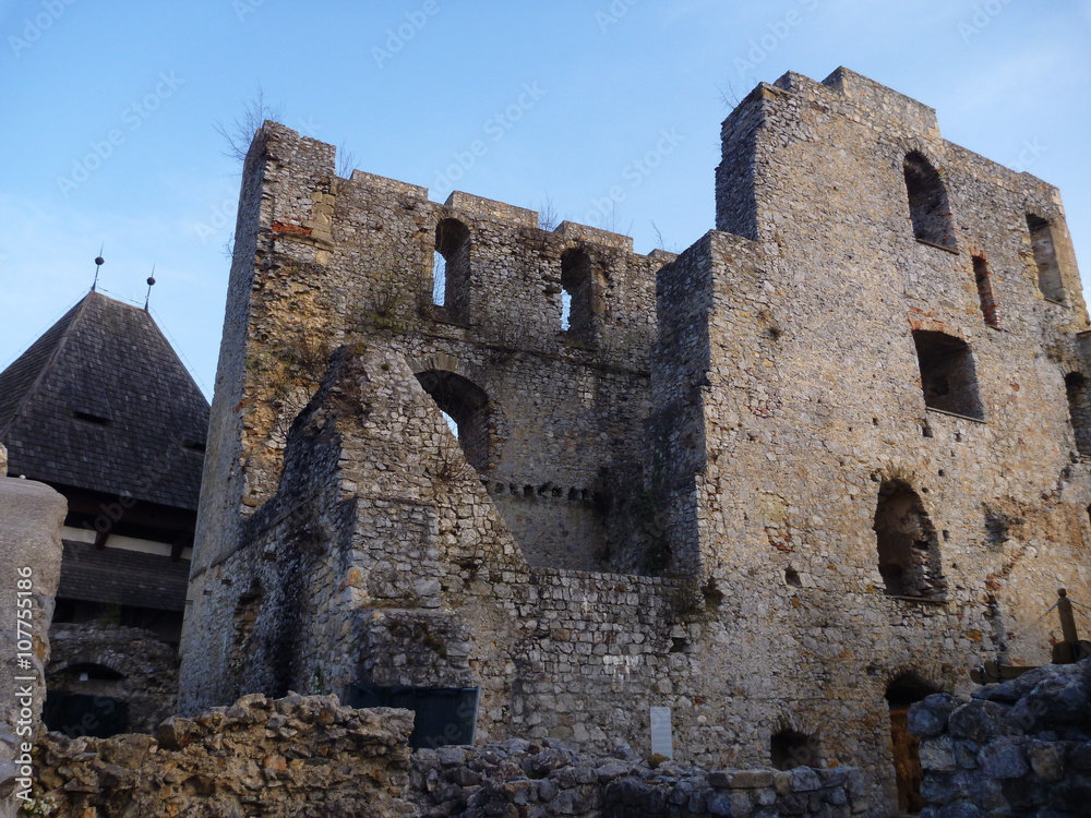 medieval castle Stari Grad in Celje in Slovenia