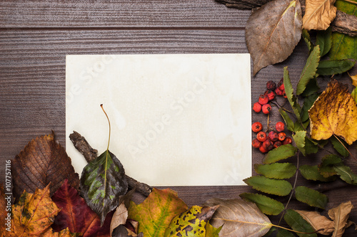 colorful autumn leaves and blank sheet of paper background photo