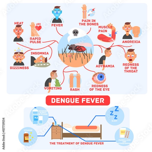 Dengue Fever Infographics