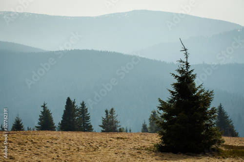 Fototapeta Naklejka Na Ścianę i Meble -  Beautiful Beskidy landscape - Rysianka mountain