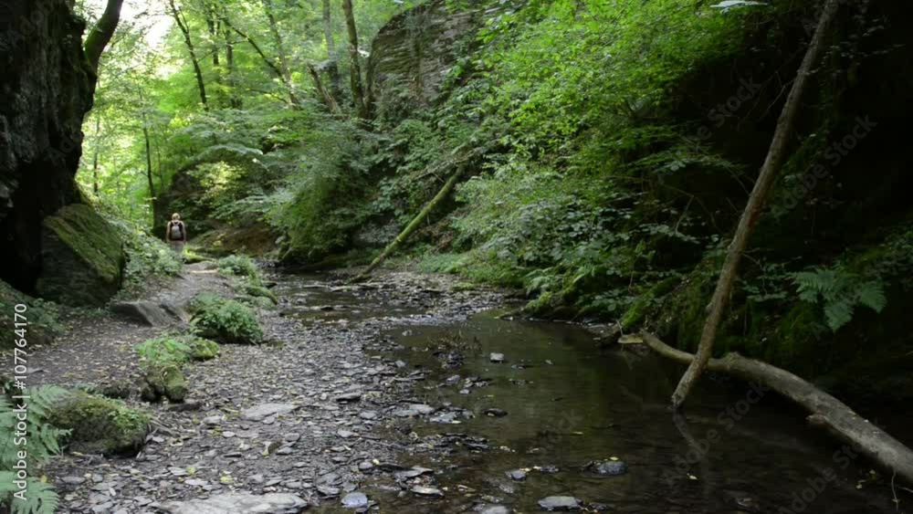 wild stream through a forest. Ehrbach canyon at mosel valley. (Brodenbach, germany)
wild stream through a forest. Ehrbach canyon at mosel valley. (Brodenbach, germany)