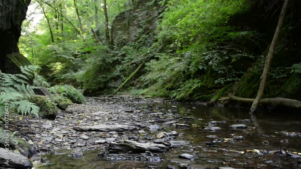 wild stream through a forest. Ehrbach canyon at mosel valley. (Brodenbach, germany)
wild stream through a forest. Ehrbach canyon at mosel valley. (Brodenbach, germany)