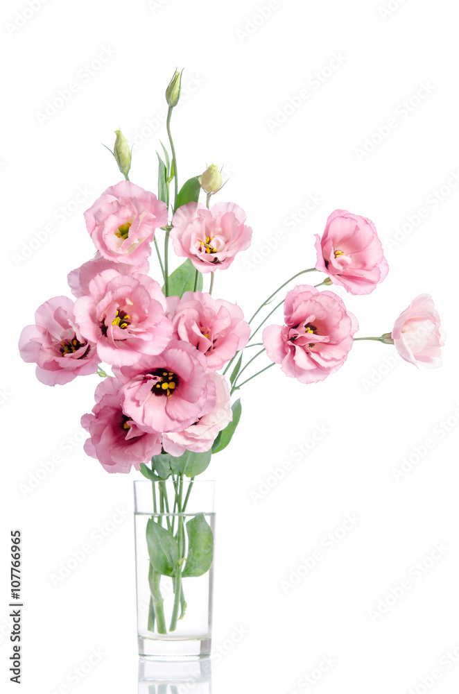bunch of pink eustoma flowers in glass vase isolated on white bunch of pink eustoma flowers in glass vase isolated on white
