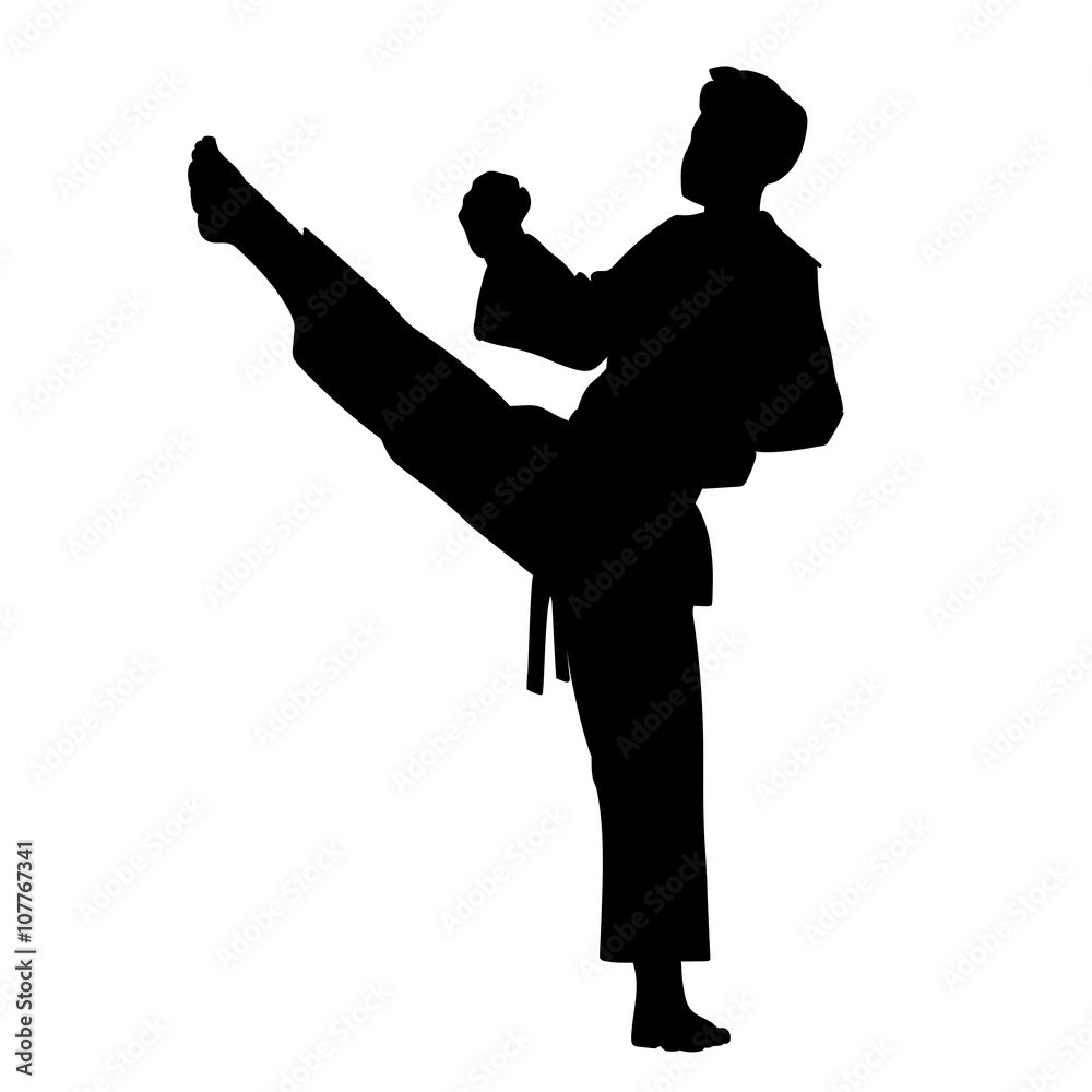 This is a Karate fighter isolated on white This is a Karate fighter isolated on white