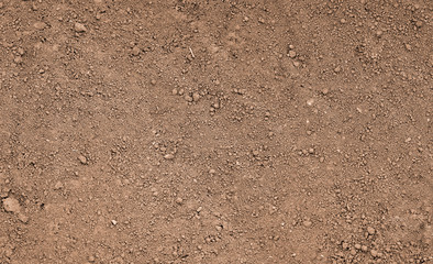 Brown ground surface. Close up natural background