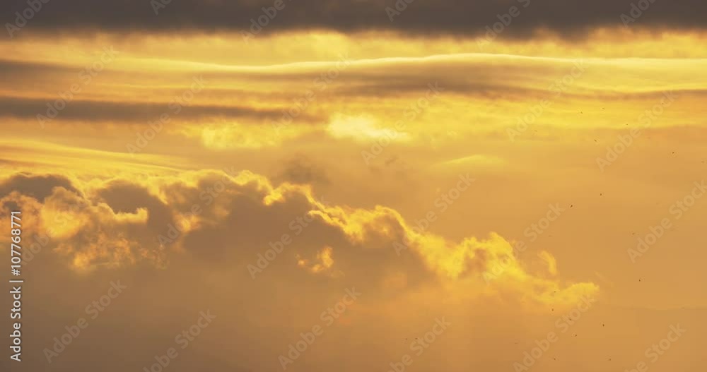 sea golden sunset sky view 4k
sea golden sunset sky view 4k