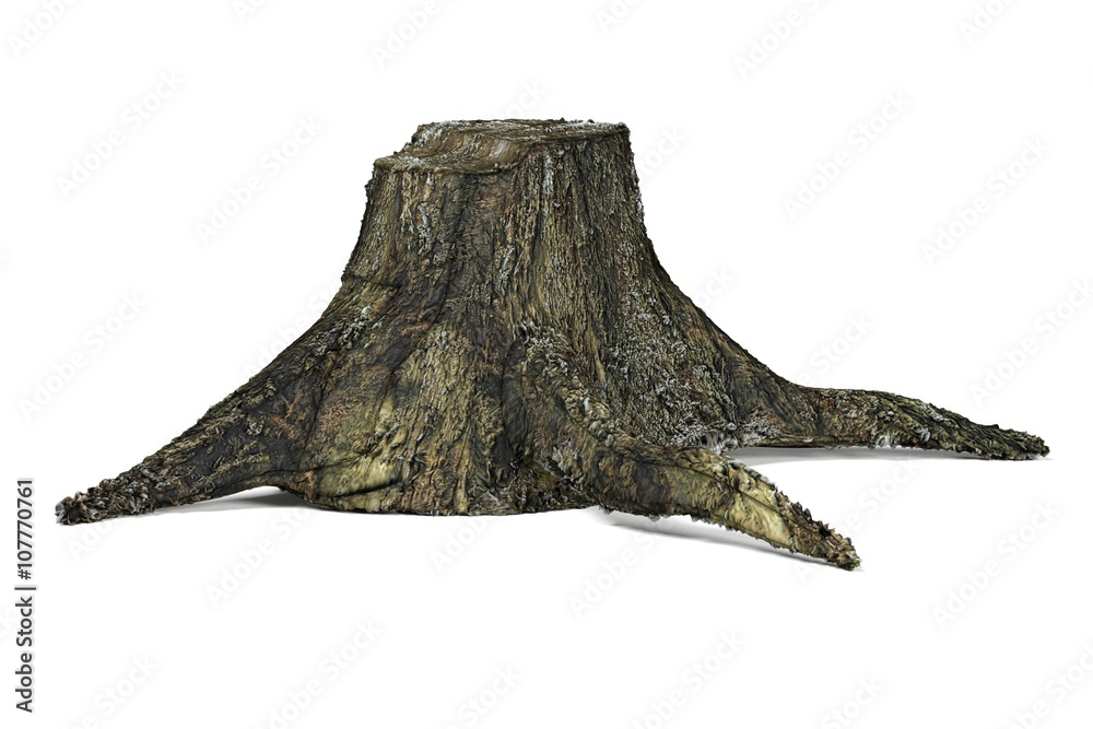 Fototapeta premium 3d render of old stump