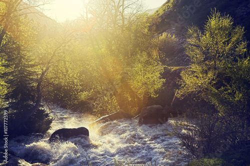 Mountain river