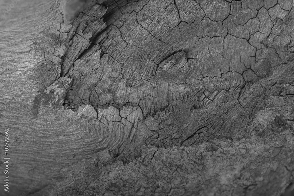 Obraz premium Traditional charcoal wood