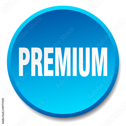 premium blue round flat isolated push button