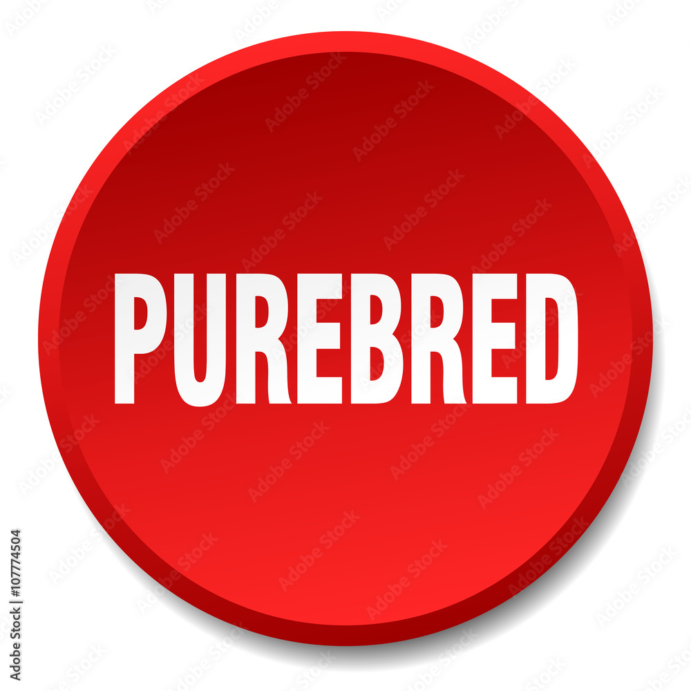 purebred red round flat isolated push button purebred red round flat isolated push button