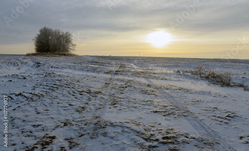 Winter landscape © valeriy boyarskiy