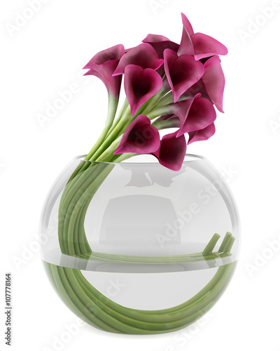 Fototapeta Naklejka Na Ścianę i Meble -  calla lilies in glass vase isolated on white background