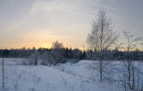 Winter scene © valeriy boyarskiy