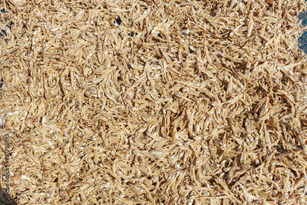 Dried fish dry in sunlight, in Thailand. Dried fish dry in sunlight, in Thailand.