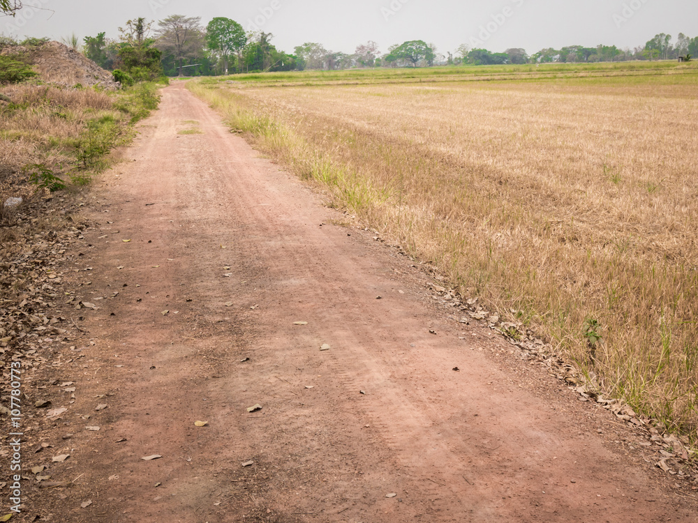 Fototapeta premium A countryside road.
