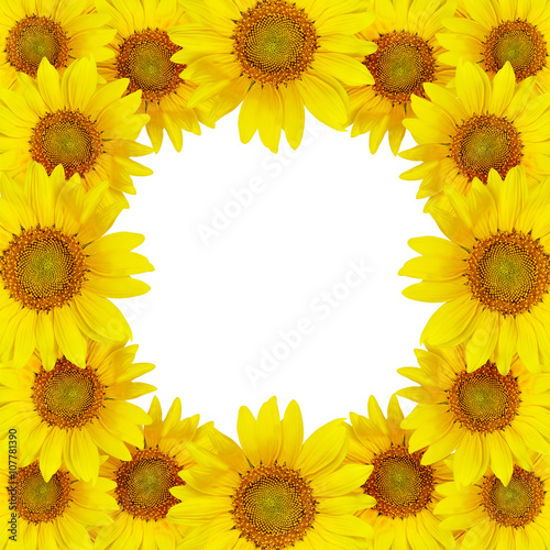 Fototapeta Naklejka Na Ścianę i Meble -  Sunflowers frame