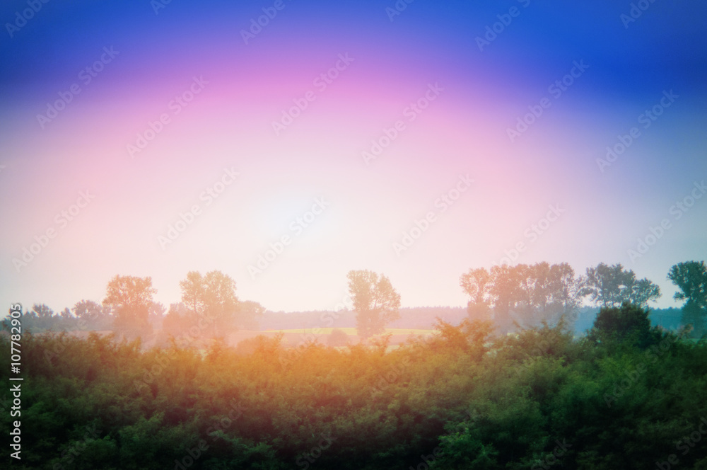 spring landscape spring landscape