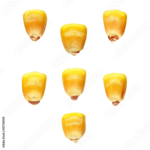 Fotografie set macro kernel corn isolated on white background