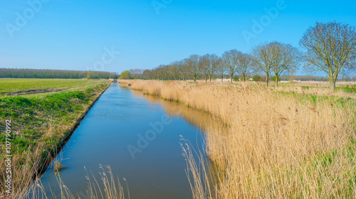 Canal through a sunny landscape in spring