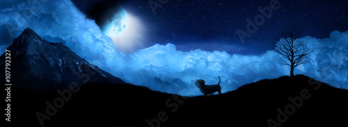 Dog looks at moon at night silhouette