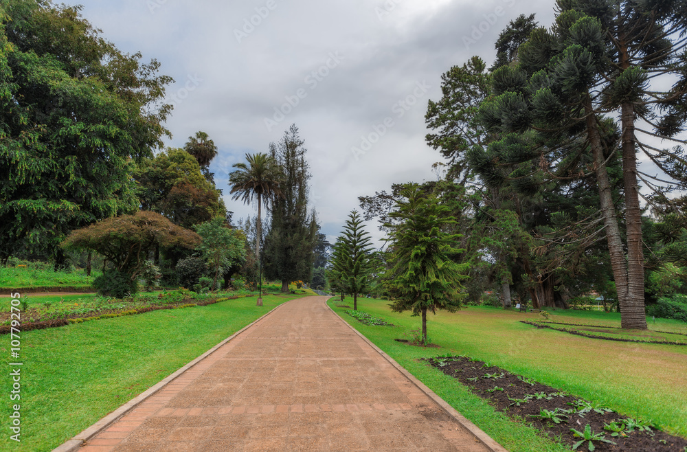 Obraz premium Nuwara Eliya, Sri Lanka. Queen Victoria Park