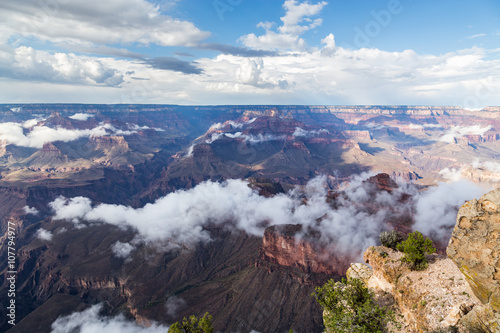 Grand Canyon National Park  Arizona  USA