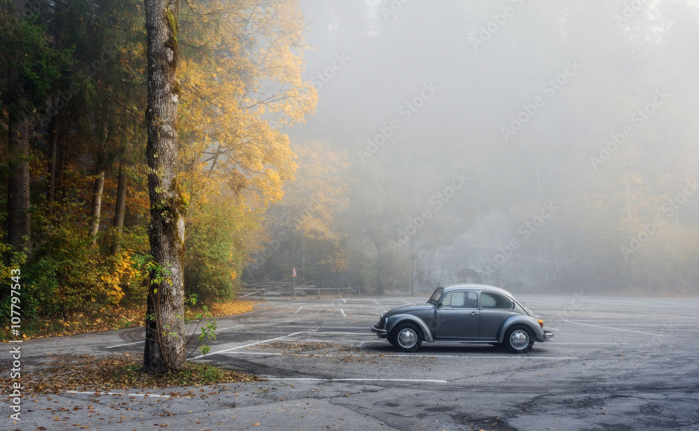 Autumn park in the town of Fussen and a single car in the parking lot Fussen, Germany Autumn park in the town of Fussen and a single car in the parking lot Fussen, Germany