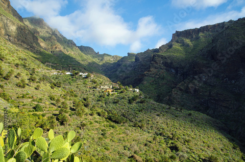 Masca Village in Tenerife  Canary Islands  Spain
