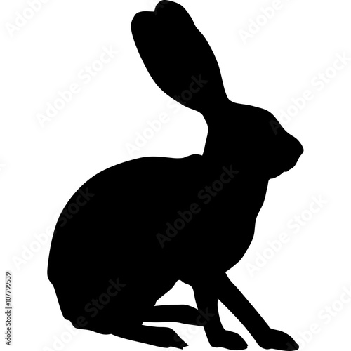 rabbit silhouette 