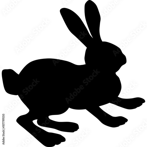 rabbit silhouette 