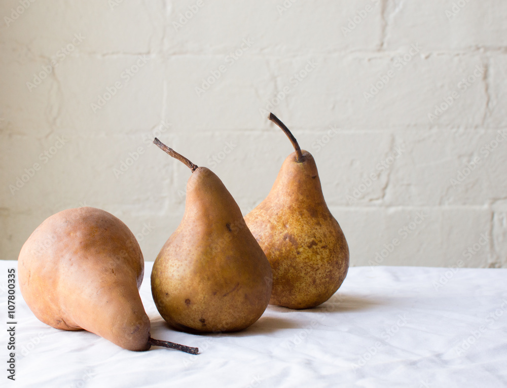 Three beurre bosc pears on a white tablecloth against a white brick wall Three beurre bosc pears on a white tablecloth against a white brick wall
