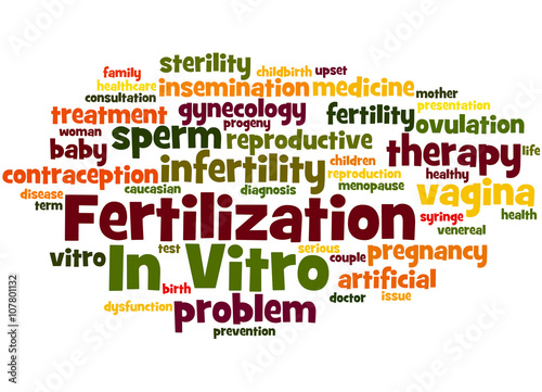 In Vitro Fertilisation, word cloud concept 3