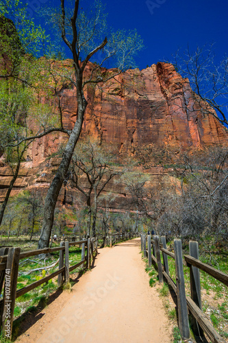 Amazing view of Zion national park  Utah